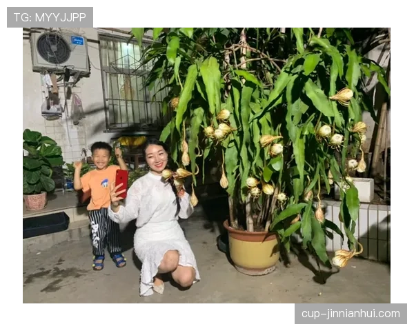 巴尔科拉多次打出高光表现 是否只是昙花一现？